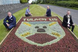 Image result for Tullylish Gac