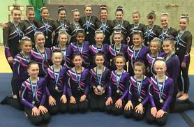 Image result for Hawth Gymnastics, Crawley