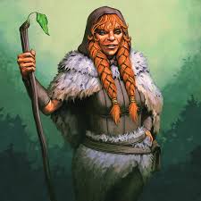 Image result for druid