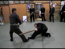 Image result for Bujinkan Dojo Seijitsu