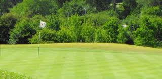 Image result for Henley Golf Club