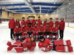 Image result for Streatham Youth Ice Hockey Club