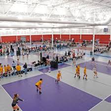 Image result for Chesterfield Cobras Volleyball Club