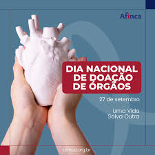 Image result for doação de órgãos