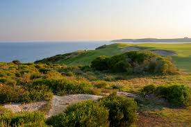 Image result for South Pembrokeshire Golf Club