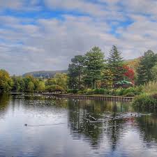 Image result for Belper Sub Aqua