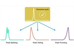 Image result for High Peak Gc