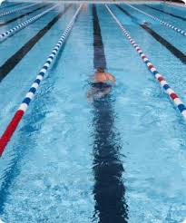 Image result for Walsall Artistic Swimming Club