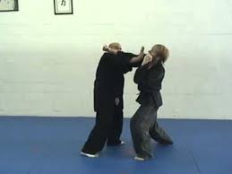 Image result for Goshin Ryu Atemi JuJitsu