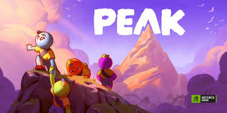 Image result for GPnow