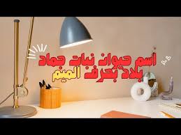 Image result for ‫بلاد م%‬‎