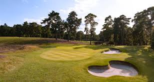 Image result for Farnham Kung Fu Club