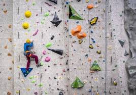 Image result for Craiglockhart Judo Club