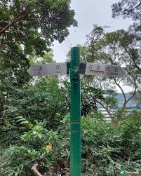 Image result for 水野X68仁義