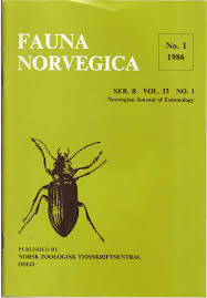 Attēlu rezultāti vaicājumam “Lamellocossus terebra”