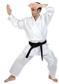 Image result for ZOKU SHOTOKAN KARATE (Baldock)