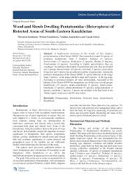 Attēlu rezultāti vaicājumam “Blepharidopterus angulatus imago”