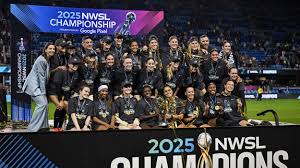 Image result for Gotham Soccer League