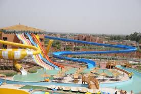 Image result for Tobogo