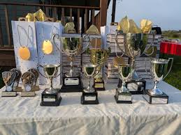 Image result for Buckhorn Weston Cricket Club