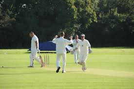 Image result for Dinas Powys Cricket Club