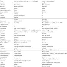 Attēlu rezultāti vaicājumam “Neckera complanata sporophyte”