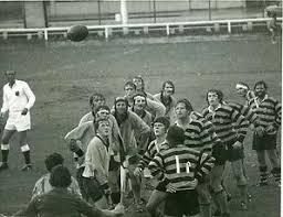 Image result for Tamworth Rugby Union Football Club