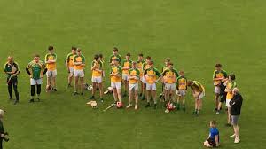 Image result for Clann Na Ngael
