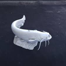 Image result for Silurus glanis