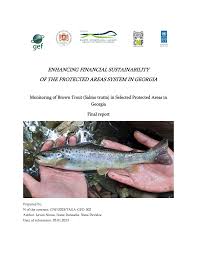 Image result for Salmo ciscaucasicus