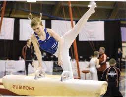 Image result for West Lothian Artistic Gymnastic Club