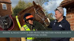 Image result for British Horse Society