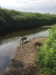 Image result for Wakefield Angling Club