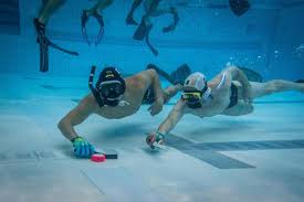 Image result for Dublin Underwater Hockey Team