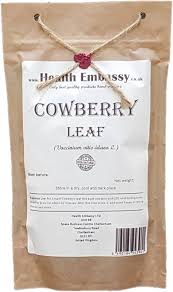 Attēlu rezultāti vaicājumam “Vaccinium vitis-idaea leaf”