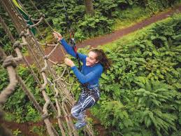 Image result for Go Ape! Thetford