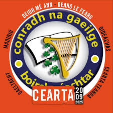 Image result for St Bronagh`s Gaa