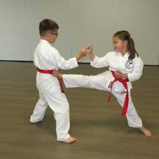Image result for Waltham Abbey Shotokan Karate Club