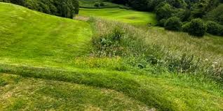 Image result for Strathpeffer Spa Golf Club