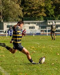 Image result for Henley Rugby Football Club