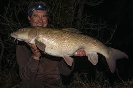 Image result for Thames Valley Angling