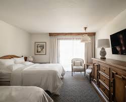 Image result for Enzian