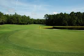 Image result for The Alt Golf Club