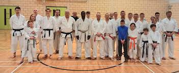 Image result for Sandokai Karate