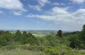 Image result for Surrey Heath Slammers