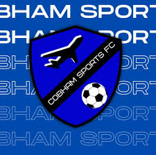 Image result for Cobham Sports Association Ltd