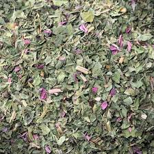 Attēlu rezultāti vaicājumam “Echinacea purpurea leaf”