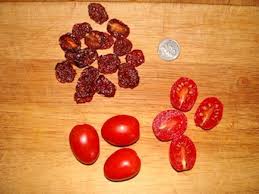 Afbeeldingsresultaat voor principe borghese tomato