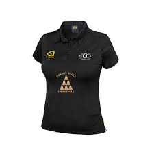 Image result for Chiddingly Cricket Club