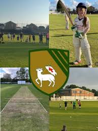 Image result for Droylsden Cricket Club